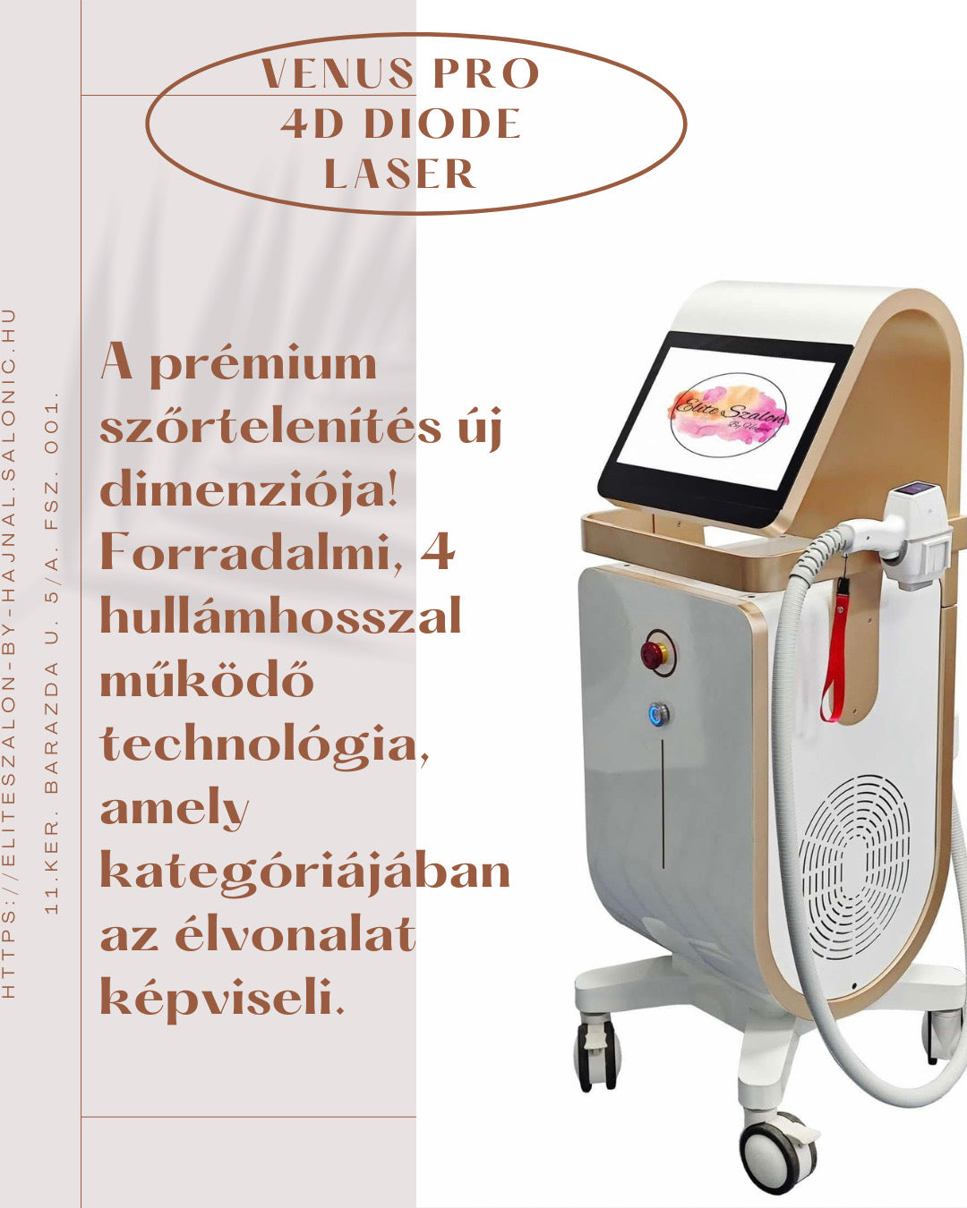 Hajnalka fő kép